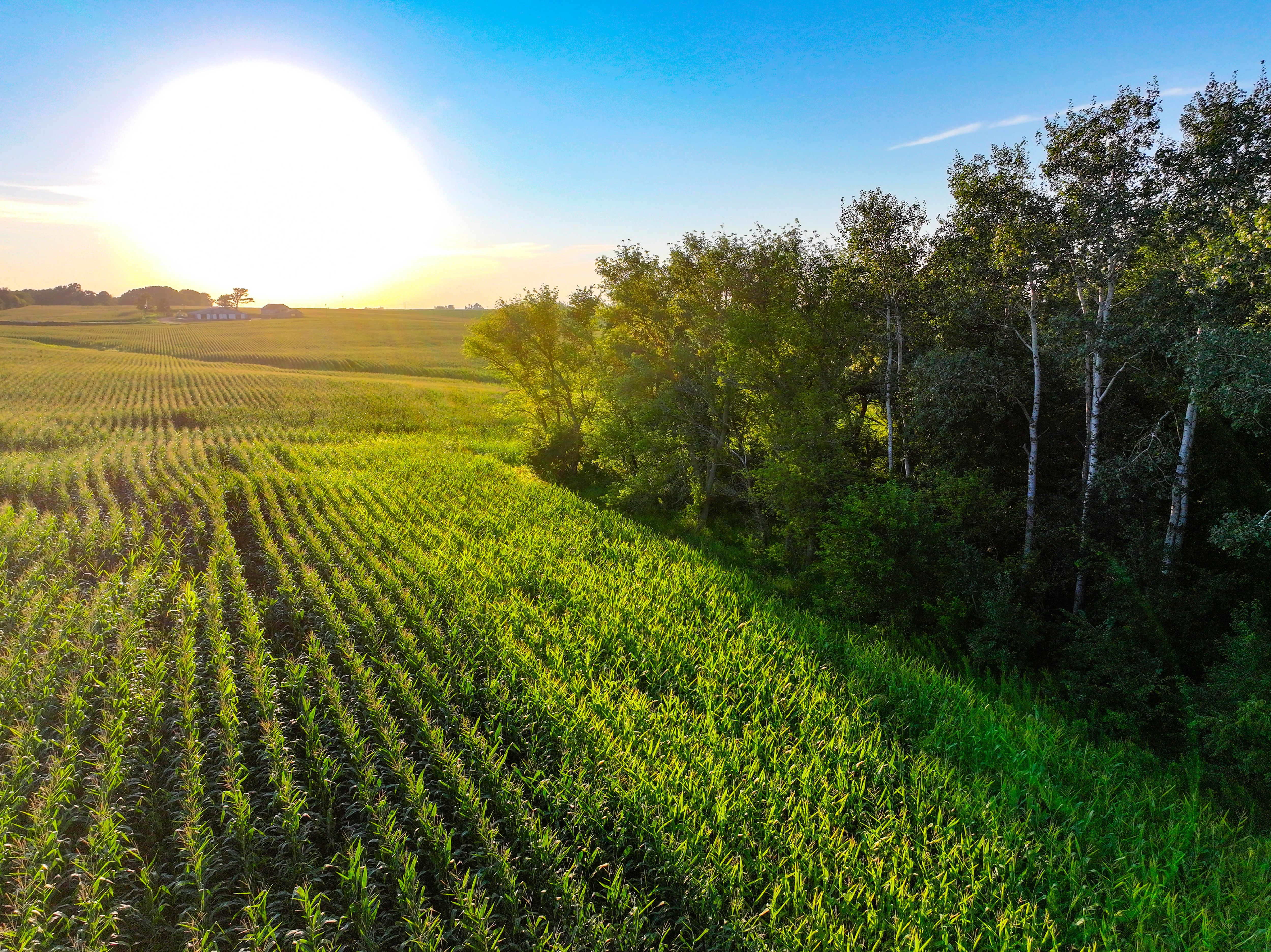 Listing Photo: 13_Buchanan Co IA Farmland For Sale